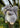 Eco Nation Grey Squirrel