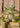 Cuddle Club - Signals