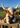 Texas Highland Cow Plush Toy