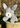 Happy Donkey Plush Toy