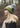 Chunky Knit Sheep Bobble Hat - Green