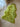Eco Tanned Lime Green Sheepskin Rug
