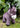Donkey Foal Plush 11″ Plush
