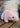 Percy The Pig Soft Toy