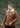 Men's Aviator Finished Flying Jacket