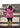 Kids' Tweed Style Embroidered Pony Gilet