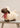 Google Eyes Standing Sheep