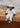 Sheep Shelf Sitter