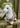 Eco Nation Alpaca