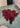 Premium North American Trimmed or Untrimmed Sheepskin in Ardent Red