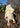 Goat Plush Toy