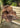 British Premium Quality Natural Brown Sheepskin Rug