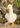 Cream Goose Plush Toy