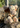 Jacob Sheep Soft Plush Toy