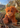 Large Highland Brown Coo Plush Toy