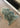 Eco Tanned Luxury Spearmint Sheepskin